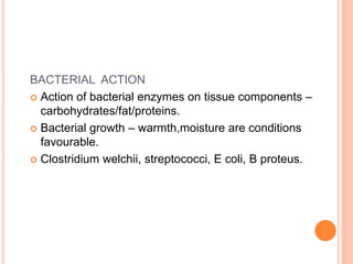 BACTERIAL ACTION
 Action of bacterial enzymes on tissue components –
carbohydrates/fat/proteins.
 Bacterial growth – warmth,moisture are conditions
favourable.
 Clostridium welchii, streptococci, E coli, B proteus.
 