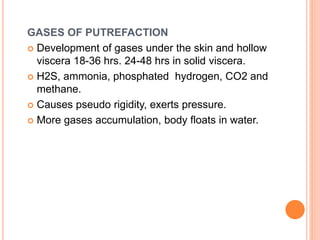 GASES OF PUTREFACTION
 Development of gases under the skin and hollow
viscera 18-36 hrs. 24-48 hrs in solid viscera.
 H2S, ammonia, phosphated hydrogen, CO2 and
methane.
 Causes pseudo rigidity, exerts pressure.
 More gases accumulation, body floats in water.
 
