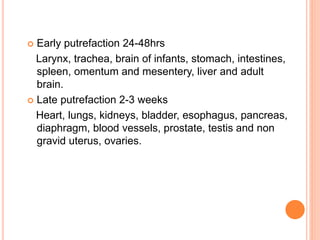  Early putrefaction 24-48hrs
Larynx, trachea, brain of infants, stomach, intestines,
spleen, omentum and mesentery, liver and adult
brain.
 Late putrefaction 2-3 weeks
Heart, lungs, kidneys, bladder, esophagus, pancreas,
diaphragm, blood vessels, prostate, testis and non
gravid uterus, ovaries.
 
