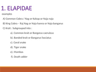 FM-Snake_bite.VelsMedicalCollege_Gunaseelan | PPT