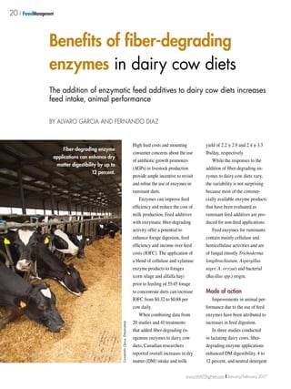 www.WATTAgNet.com ❙ January/February 2017
20 ❙ FeedManagement
High feed costs and mounting
consumer concerns about the use
of antibiotic growth promoters
(AGPs) in livestock production
provide ample incentive to revisit
and refine the use of enzymes in
ruminant diets.
Enzymes can improve feed
efficiency and reduce the cost of
milk production. Feed additives
with enzymatic fiber-degrading
activity offer a potential to
enhance forage digestion, feed
efficiency and income over feed
costs (IOFC). The application of
a blend of cellulase and xylanase
enzyme products to forages
(corn silage and alfalfa hay)
prior to feeding of 55:45 forage
to concentrate diets can increase
IOFC from $0.32 to $0.88 per
cow daily.
When combining data from
20 studies and 41 treatments
that added fiber-degrading ex-
ogenous enzymes to dairy cow
diets, Canadian researchers
reported overall increases in dry
matter (DM) intake and milk
yield of 2.2 ± 2.9 and 2.4 ± 3.3
lbs/day, respectively.
While the responses to the
addition of fiber-degrading en-
zymes to dairy cow diets vary,
the variability is not surprising
because most of the commer-
cially available enzyme products
that have been evaluated as
ruminant feed additives are pro-
duced for non-feed applications.
Feed enzymes for ruminants
contain mainly cellulase and
hemicellulase activities and are
of fungal (mostly Trichoderma
longibrachiatum, Aspergillus
niger, A. oryzae) and bacterial
(Bacillus spp.) origin.
Mode of action
Improvements in animal per-
formance due to the use of feed
enzymes have been attributed to
increases in feed digestion.
In three studies conducted
in lactating dairy cows, fiber-
degrading enzyme applications
enhanced DM digestibility, 4 to
12 percent, and neutral detergent
Benefits of fiber-degrading
enzymes in dairy cow diets
The addition of enzymatic feed additives to dairy cow diets increases
feed intake, animal performance
BY ALVARO GARCIA AND FERNANDO DIAZ
Fiber-degrading enzyme
applications can enhance dry
matter digestibility by up to
12 percent.
ConstantinOprus,Dreamstime
 