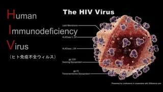 Human 
Immunodeficiency 
Virus 
ҥ߲ȫ륹 
 