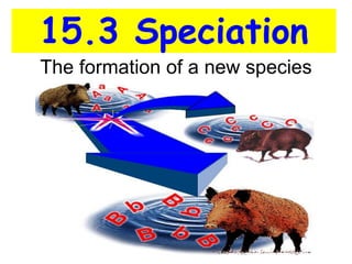 The formation of a new species
15.3 Speciation
 