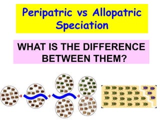 Peripatric vs Allopatric
Speciation
WHAT IS THE DIFFERENCE
BETWEEN THEM?
 