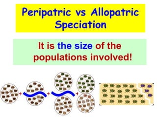 Peripatric vs Allopatric
Speciation
It is the size of the
populations involved!
 