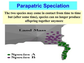 The two species may come in contact from time to time
but (after some time), species can no longer produce
offspring together anymore
Parapatric Speciation
 