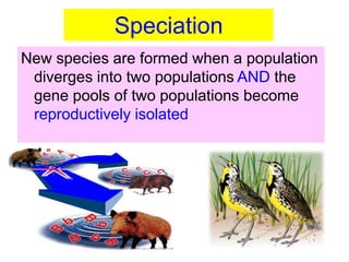 New species are formed when a population
diverges into two populations AND the
gene pools of two populations become
reproductively isolated
Speciation
 