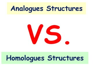 Analogues Structures
Homologues Structures
VS.
 
