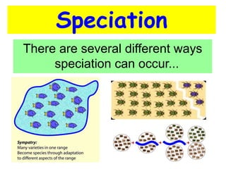 There are several different ways
speciation can occur...
Speciation
 