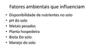 Fatores ambientais que influenciam
• Disponibilidade de nutrientes no solo
• pH do solo
• Metais pesados
• Planta hospedeira
• Biota Do solo
• Manejo do solo
 