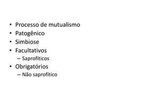 • Processo de mutualismo
• Patogênico
• Simbiose
• Facultativos
– Saprofíticos
• Obrigatórios
– Não saprofítico
 