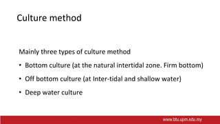 Culture method
Mainly three types of culture method
• Bottom culture (at the natural intertidal zone. Firm bottom)
• Off bottom culture (at Inter-tidal and shallow water)
• Deep water culture
 
