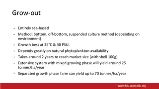 Grow-out
• Entirely sea-based
• Method: bottom, off-bottom, suspended culture method (depending on
environment)
• Growth best at 25°C & 30 PSU.
• Depends greatly on natural phytoplankton availability
• Takes around 2 years to reach market size (with shell 100g)
• Extensive system with mixed growing phase will yield around 25
tonnes/ha/year
• Separated growth phase farm can yield up to 70 tonnes/ha/year
 