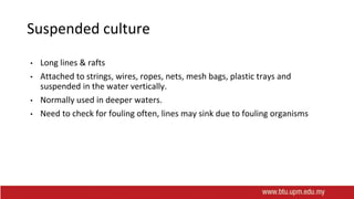 Suspended culture
• Long lines & rafts
• Attached to strings, wires, ropes, nets, mesh bags, plastic trays and
suspended in the water vertically.
• Normally used in deeper waters.
• Need to check for fouling often, lines may sink due to fouling organisms
 