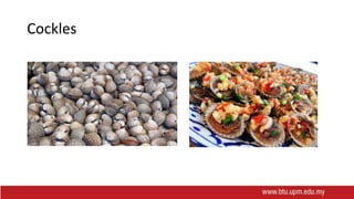 Cockles
 