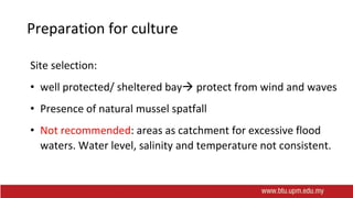 Preparation for culture
Site selection:
• well protected/ sheltered bay protect from wind and waves
• Presence of natural mussel spatfall
• Not recommended: areas as catchment for excessive flood
waters. Water level, salinity and temperature not consistent.
 
