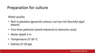 Preparation for culture
Water quality
• Rich in plankton (greenish colour); not too rich (harmful algal
bloom)
• Free from pollution (avoid industrial or domestic area)
• Water depth 2 m
• Temperature 27-30 °C
• Salinity 27-35 ppt
 