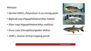 FMA2001 L1 Aquaculture history.pptx