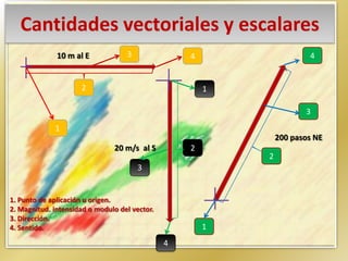 Cantidades vectoriales y escalares
10 m al E
20 m/s al S
1
2
4
1
4
2
3
3
1
4
3
2
200 pasos NE
1. Punto de aplicación u origen.
2. Magnitud. intensidad o modulo del vector.
3. Dirección.
4. Sentido.
 