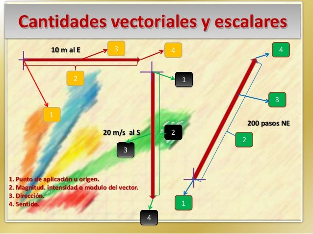 F)magnitudes escalares y vectoriales