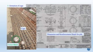 Cage Structure Engineering Major Project ppt | PPTX