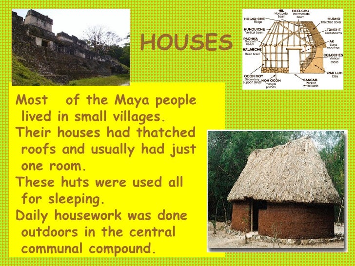 Mayan Civilisation
