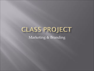 Marketing & Branding
 