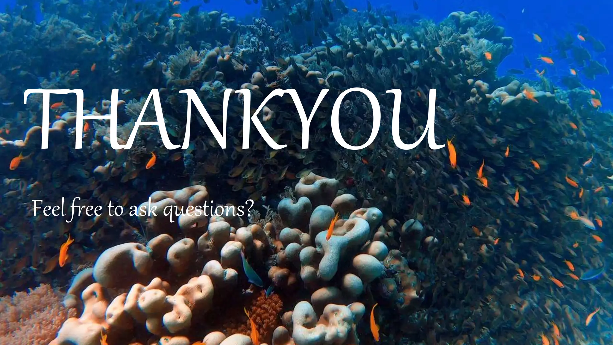 THANKYOU
Feel free to ask questions?
 