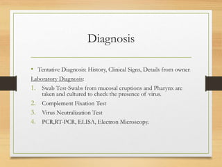 Diagnosis
• Tentative Diagnosis: History, Clinical Signs, Details from owner.
Laboratory Diagnosis:
1. Swab Test-Swabs from mucosal eruptions and Pharynx are
taken and cultured to check the presence of virus.
2. Complement Fixation Test
3. Virus Neutralization Test
4. PCR,RT-PCR, ELISA, Electron Microscopy.
 
