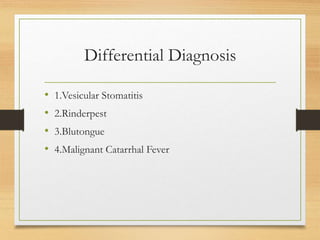 Differential Diagnosis
• 1.Vesicular Stomatitis
• 2.Rinderpest
• 3.Blutongue
• 4.Malignant Catarrhal Fever
 