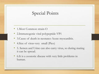 Special Points
• 1.Most Common strain-O
• 2.Immunogenic viral polypeptide-VP1
• 3.Cause of death in neonates-Acute myocarditis.
• 4.Size of virus-very small (Pico)
• 5. Semen and Urine can also carry virus, so during mating
it can be spread.
• 6.It is a zoonotic disease with very little problems in
human.
 