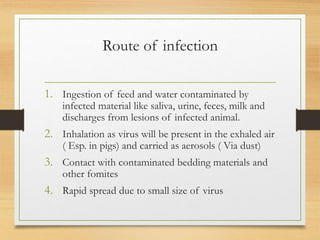 Route of infection
1. Ingestion of feed and water contaminated by
infected material like saliva, urine, feces, milk and
discharges from lesions of infected animal.
2. Inhalation as virus will be present in the exhaled air
( Esp. in pigs) and carried as aerosols ( Via dust)
3. Contact with contaminated bedding materials and
other fomites
4. Rapid spread due to small size of virus
 