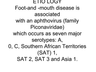ETIO LOGY 
Foot-and -mouth disease is 
associated 
with an aphthovirus (family 
Piconaviridae) 
which occurs as seven major 
serotypes: A, 
0, C, Southern African Territories 
(SAT) 1, 
SAT 2, SAT 3 and Asia 1. 
 