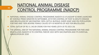 Foot and Mouth Disease : Dr Ananya | PPTX