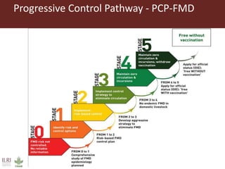 Benefits and possibilities for the foot and mouth disease progressive control pathway to be applied at county level