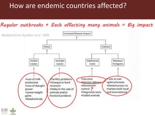 Benefits and possibilities for the foot and mouth disease progressive control pathway to be applied at county level