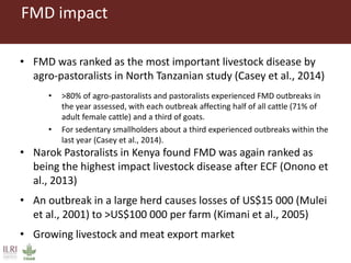 Benefits and possibilities for the foot and mouth disease progressive control pathway to be applied at county level