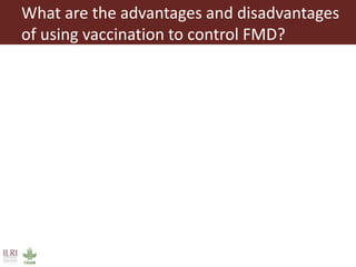 Foot-and-mouth disease: Control and vaccination