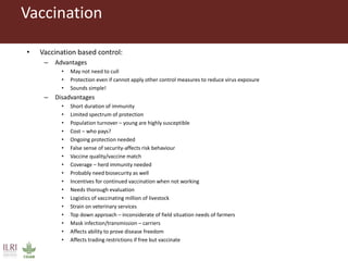 Foot-and-mouth disease: Control and vaccination