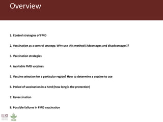 Foot-and-mouth disease: Control and vaccination