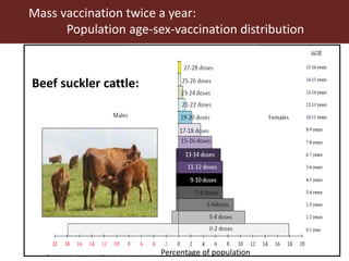 Foot-and-mouth disease: Control and vaccination