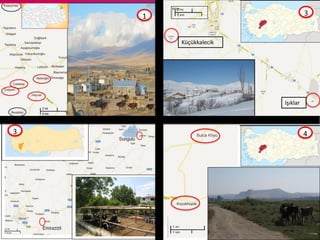 Foot-and-mouth disease: Control and vaccination