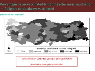 Foot-and-mouth disease: Control and vaccination