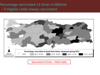 Foot-and-mouth disease: Control and vaccination