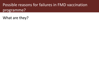 Foot-and-mouth disease: Control and vaccination