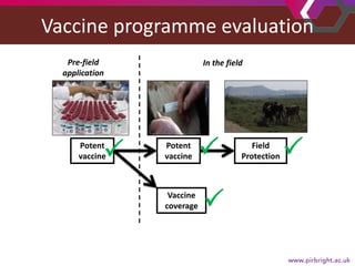Foot-and-mouth disease: Control and vaccination