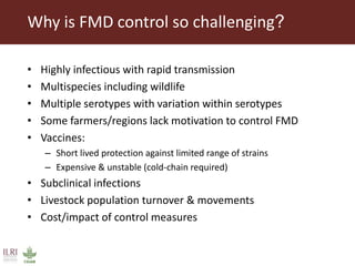 Foot-and-mouth disease: Control and vaccination