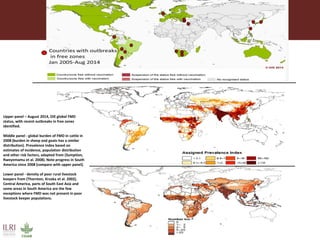 Foot-and-mouth disease: Control and vaccination