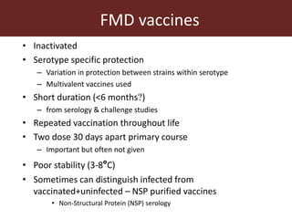 Foot-and-mouth disease: Control and vaccination