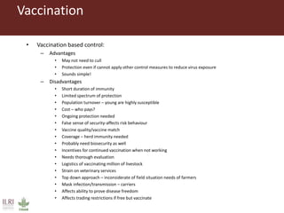 Foot-and-mouth disease: Control and vaccination